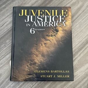 Juvenile Justice in America Textbook